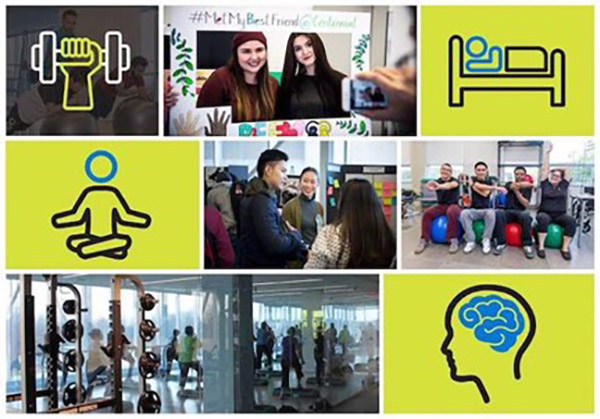 开云在线登录app入口