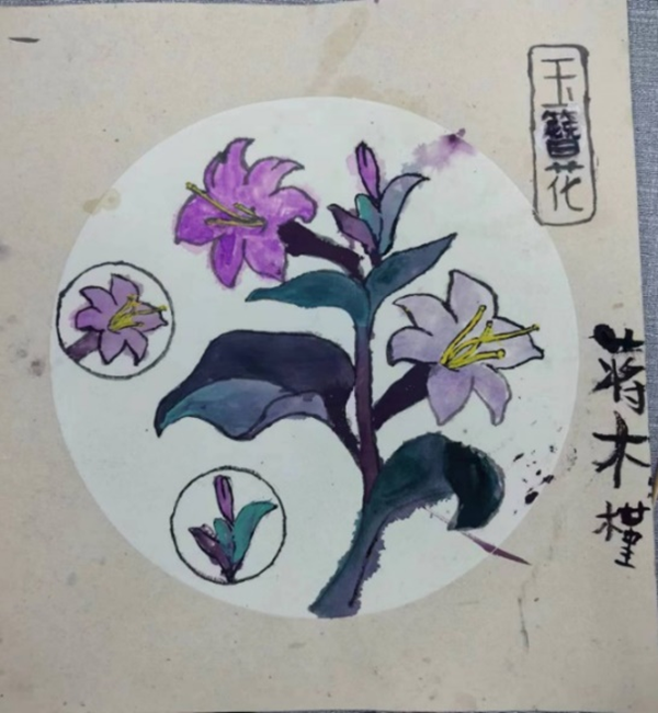 开云在线登录app入口