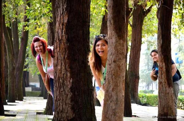 开云在线登录app入口