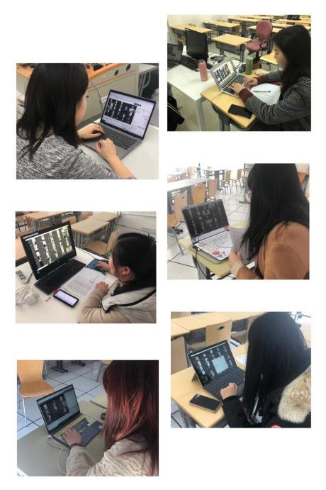 开云在线登录app入口