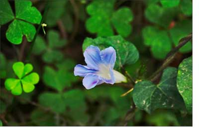 开云在线登录app入口