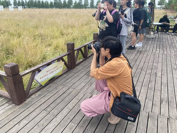 开云在线登录app入口