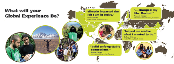 开云在线登录app入口