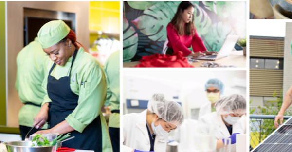 开云在线登录app入口