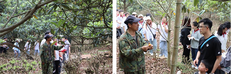 开云在线登录app入口