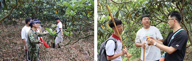 开云在线登录app入口