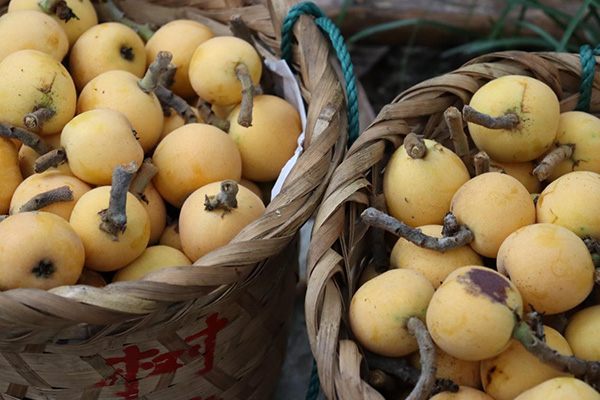 开云在线登录app入口