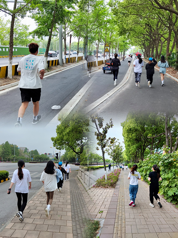 开云在线登录app入口