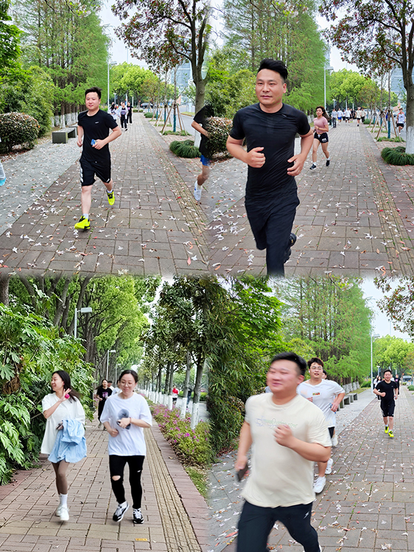 开云在线登录app入口