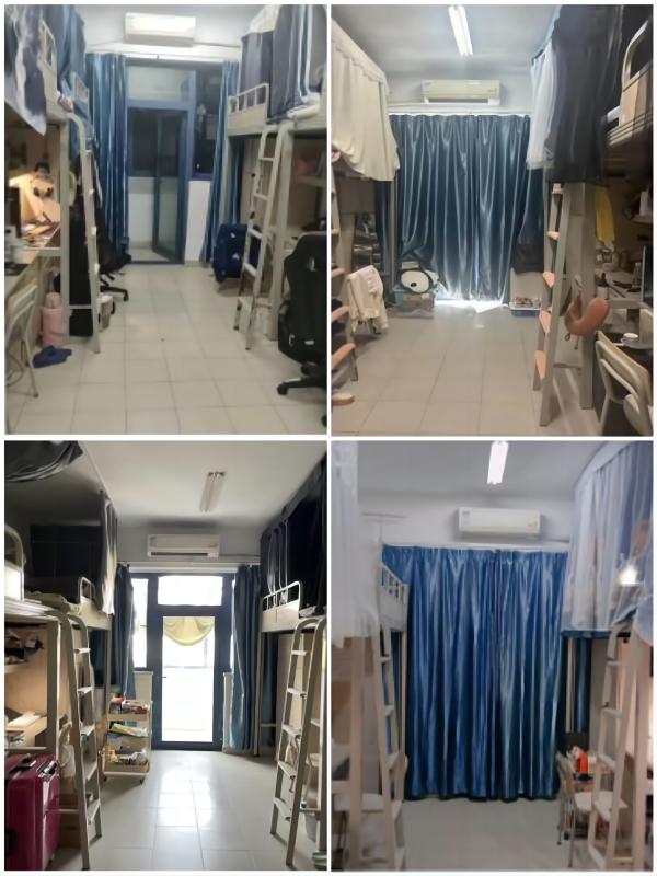 开云在线登录app入口