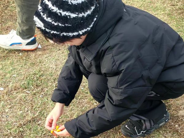 开云在线登录app入口