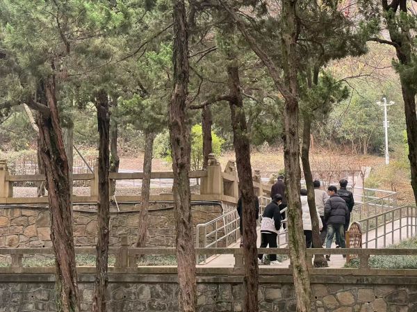 开云在线登录app入口