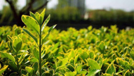 开云在线登录app入口