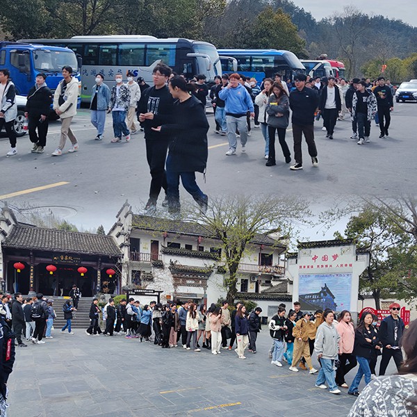 开云在线登录app入口