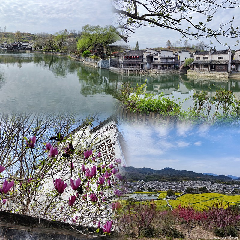 开云在线登录app入口