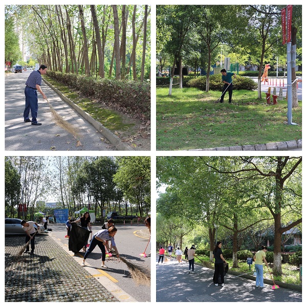 开云在线登录app入口