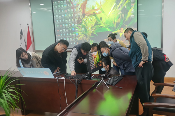 开云在线登录app入口