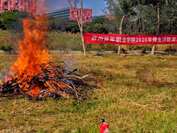 开云在线登录app入口