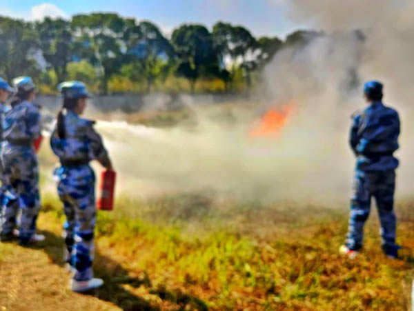 开云在线登录app入口