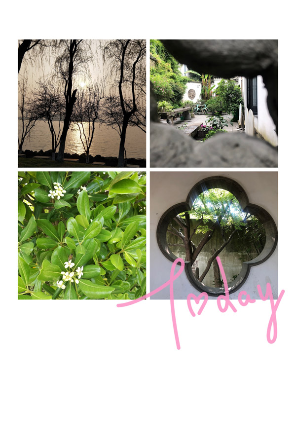 开云在线登录app入口