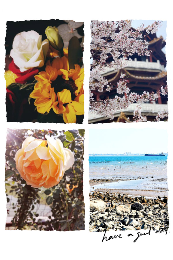 开云在线登录app入口