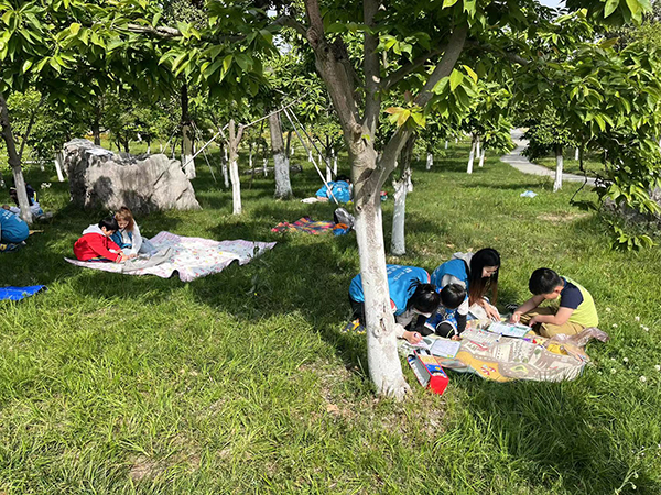 开云在线登录app入口 开云在线登录app入口