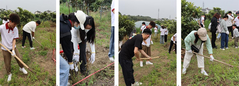 开云在线登录app入口