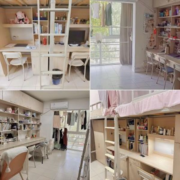 开云在线登录app入口